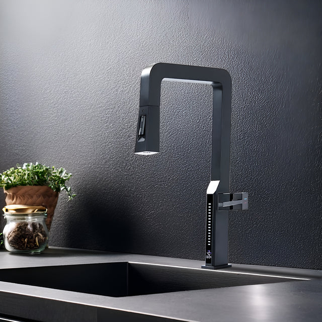 robinet de cuisine Triumph